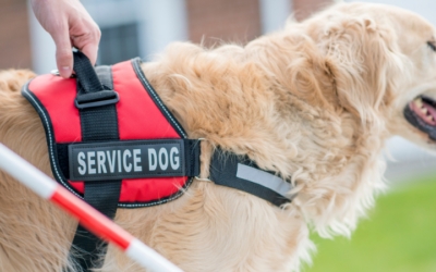 What Documentation Can Landlords Request for Service Animals & ESAs?